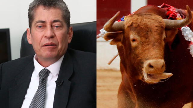 Espinosa-Saldaña explicó su decisión sobre el debate de la constitucionalidad de la corrida de toros y pelea de gallos. Créditos: La República.