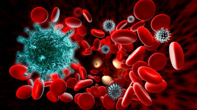 El sistema inmunológico defiende naturalmente al cuerpo de los virus y bacterias. Foto: Referencial