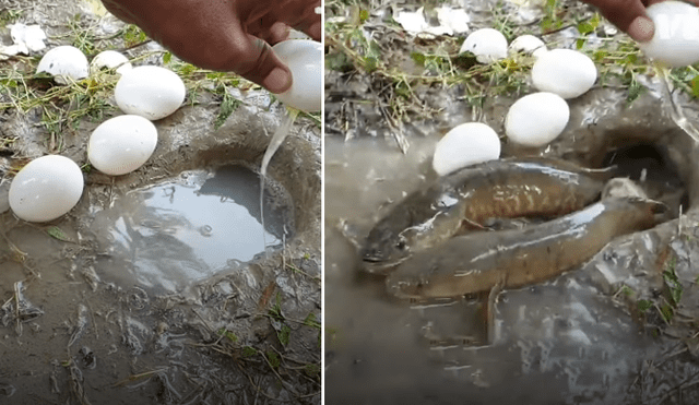 Desliza hacia la izquierda para ver los peces que aparecen en el video viral de Facebook.