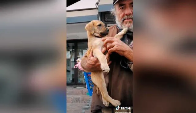 Desliza las imágenes para conocer un poco más sobre este anciano y su pequeña mascota. Foto: captura de TikTok/Chemanimals