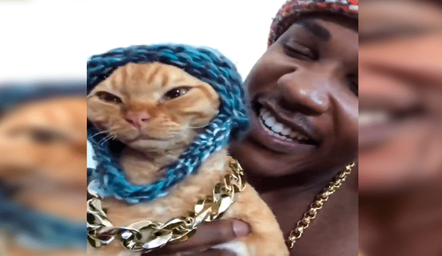 Facebook viral: joven juega con su pequeño gato y le dedica una canción de Drake a su propio estilo [VIDEO]