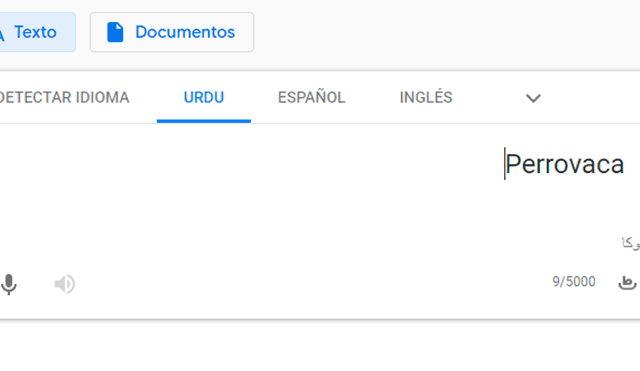 Google Translate: Incluso 'Perrovaca’ pasó por el traductor y el mensaje fue sorprendente [FOTOS]