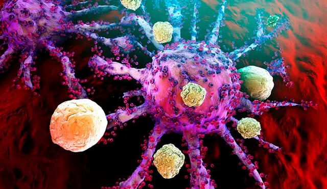 Imagen de las células T atacando a los agentes infecciosos. Crédito: Alamy Stock.