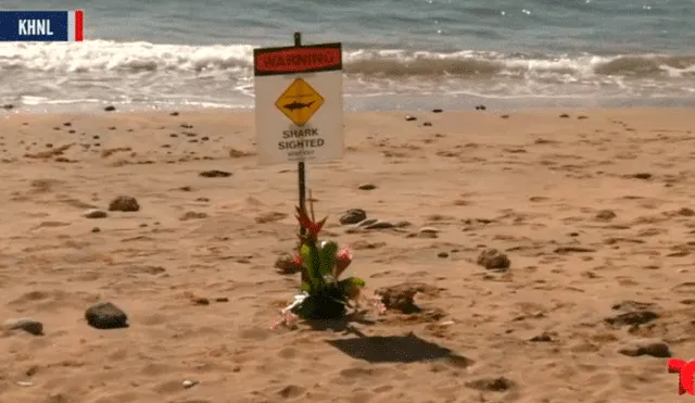 Hombre muere atacado por un tiburón en Hawái mientras nadaba