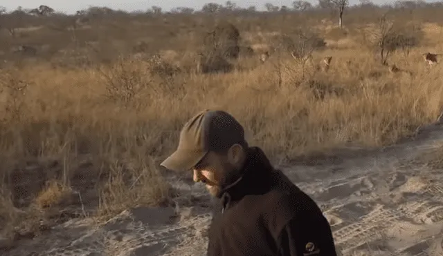 Hombre vive terrorífico momento al quedar frente a frente de leones camuflados entre la hierba.