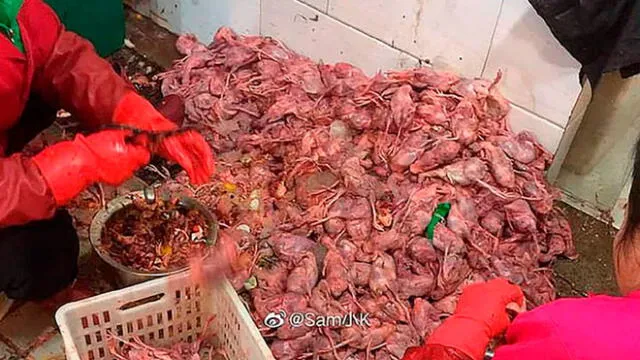 La carne de animales se oferta en el mercado de Wuhan, donde habría surgido el coronavirus. Foto: Difusión
