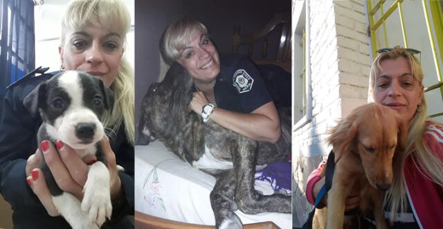 Mujer policía enfrenta la delincuencia y el maltrato animal: busca hogar a perritos abandonados [VIDEO]