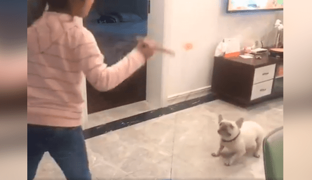 Desliza las imágenes para conocer el amoroso momento entre una niña junto a su adorable mascota. Foto: Captura.