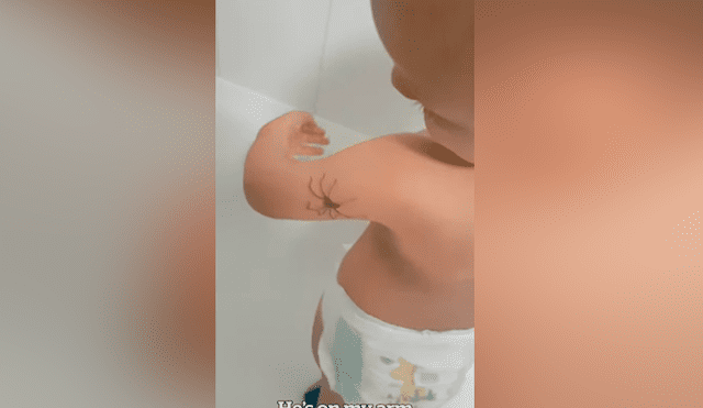 Facebook viral: bebé descubre que enorme araña caminaba por su brazo y tiene insólita reacción