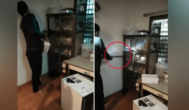 Un video viral de YouTube registró el instante en que un hombre fue atacado salvajemente por una venenosa criatura que extrajo de su armario.