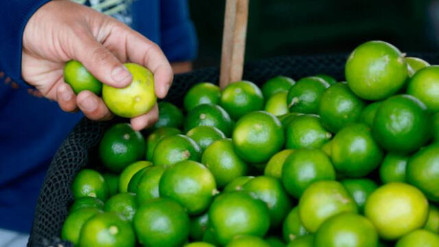 Ministerio de Agricultura asegura que subida del precio del limón es temporal