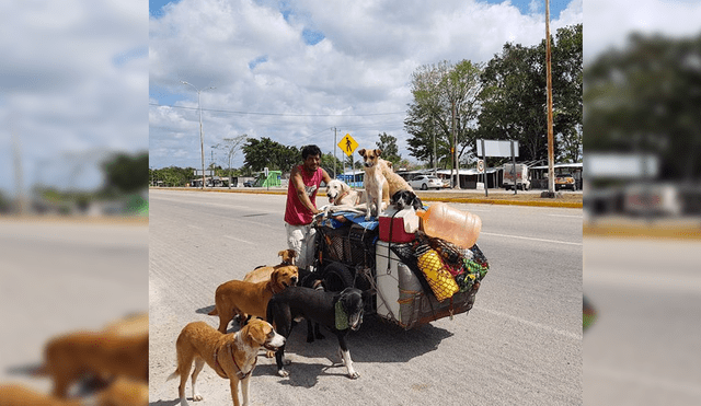 Facebook Viral: Hombre viaja por todo México curando a perros callejeros [VIDEO]