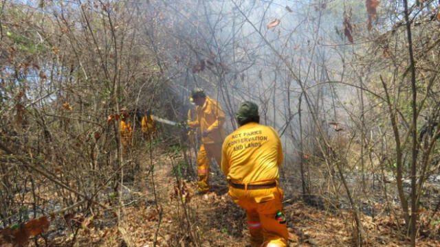 Tumbes: Controlan incendio forestal que afectó a Reserva Nacional de Tumbes 