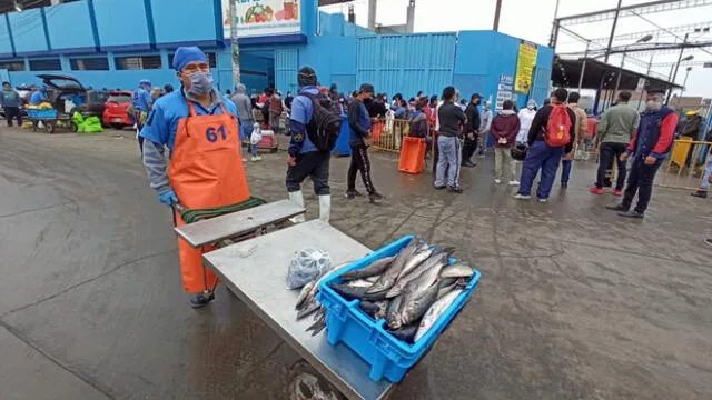 Terminal pesquero del Callao. (Fotos: Jessica Merino / GLR)