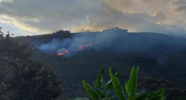 Incendios forestales en Cusco, destrozaron cerca de 100 hectáreas de cultivos, pastos y árboles.