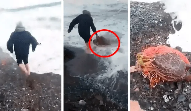 YouTube viral: hombre arriesga su vida e ingresa al mar para salvar a tortuga cubierta de plástico [VIDEO]