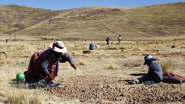 Familias completas viajan a las zonas de Puno donde el frío no da tregua. Foto: Carlos Cisneros.