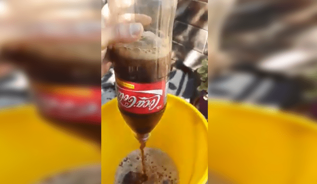 Vía Facebook: Roedor aparece dentro de envase de Coca Cola y miles se aterran [VIDEO]