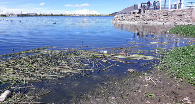 Puneños se resignan a contaminación del lago Titicaca y ríos [FOTOS]