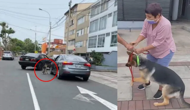 Dos transeúntes grabaron a la mujer mientras llevaba al animal por la calle. Foto: captura Facebook Pocho Gatuno