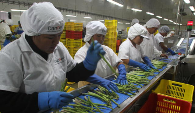 Agroexportaciones superaron los 1.650 millones de dólares en el primer trimestre de este año