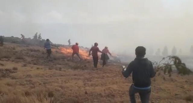 En lo que va del 2020, se han desatado más de 20 incendios forestales en Cusco. Foto: Gobierno Regional de Cusco.