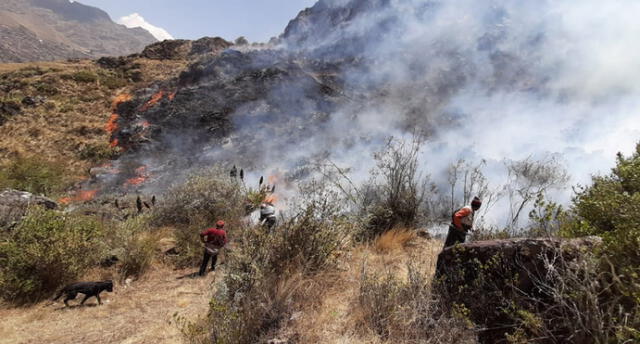 Bomberos luchan para apagar los siniestros en Cusco. Foto: Gobierno Regional de Cusco.