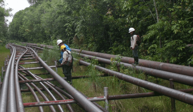 Petroperú detectó causa del afloramiento de crudo en el Oleoducto Norperuano