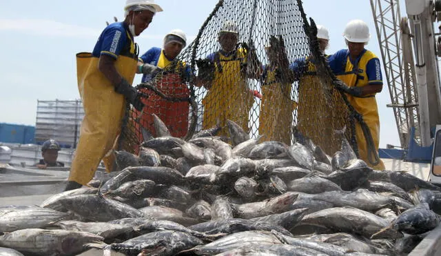 Perú: Aprueban nuevos límites de impacto ambiental en la industria pesquera