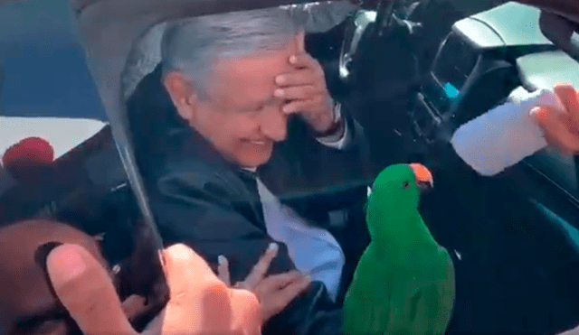 El presidente de México tuvo una inusual reacción cuando le dijeron que el ave era suyo. Foto: captura.