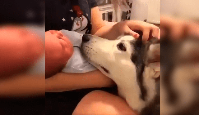 Vía Facebook. Los papás del bebé llamaron a su perro para presentarle al nuevo miembro de la familia y quedaron sorprendidos con la peculiar emotiva conducta del can