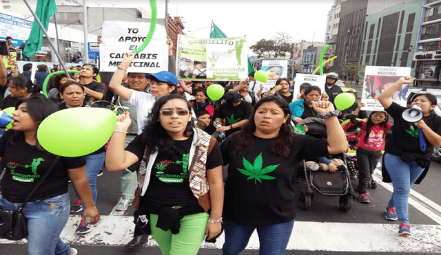 Marihuana medicinal: colectivos marchan para que el Congreso apruebe su uso [FOTOS]