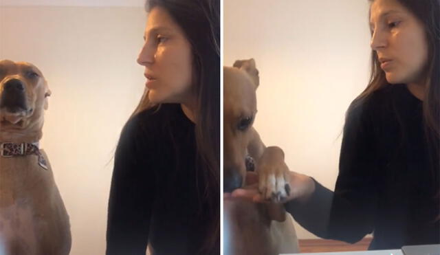 Desliza hacia la izquierda para ver más imágenes de esta peculiar 'conversación' entre una joven y su perro. Foto: captura de TikTok