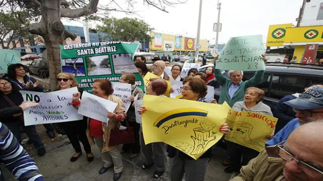 Proponen plan vial para evitar tala de árboles en San Isidro