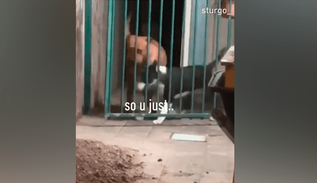El bull terrier inglés quería salir, pero una reja se lo impedía. Foto: captura.