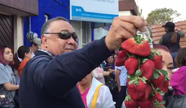 YouTube: vende tonelada de fresa en menos de una hora por un mensaje viral | VIDEO