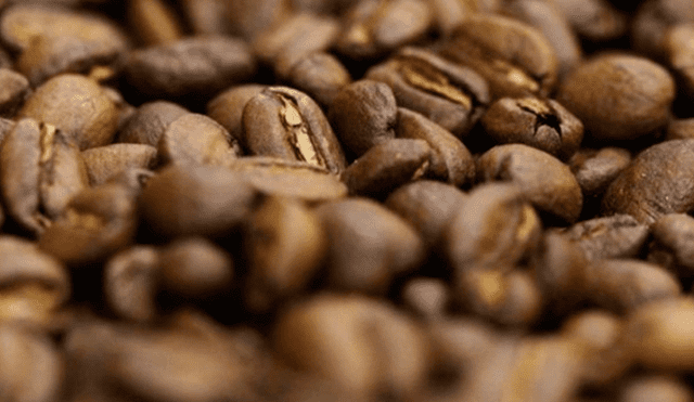 INEI: Producción de cacao y café aumentó en mayo 