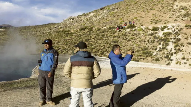 Queñuales andinos fueron dañados en construcción de carretera Tacna-Collpa