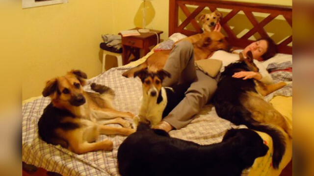 Eliana Mantoani vive en la actualidad con diez perros, todos recogidos de la calle. Foto: Facebook
