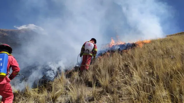 Bomberos apoyaron en las labores de control de los incendios. Foto: COER