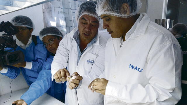En Arequipa se incrementa producción de ajo, pero no se exporta 