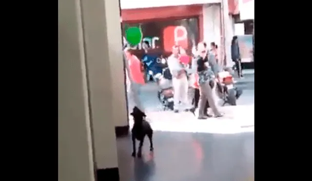 Vía Facebook: Perro encuentra globo en la calle y esta es su asombrosa reacción [VIDEO]