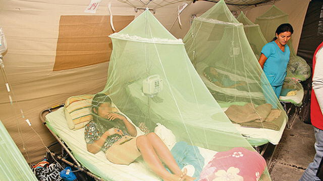 Declaran en emergencia a Piura para evitar el dengue