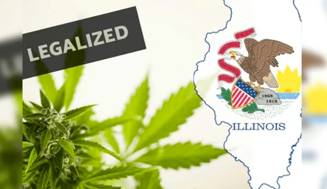 La venta de marihuana será legal en Illinois a partir del 2020. (Foto: TN8)