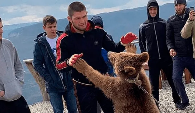 Khabib Nurmagomedov es acusado de fomentar el maltrato animal tras pelear con oso [VIDEO]