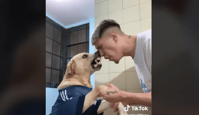 Hincha argentino se hace viral al celebrar con su perro el pase de Argentina a la final de Qatar 2022. Foto: captura TikTok