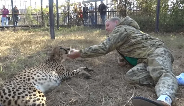 Desliza hacia la izquierda para ver el emotivo reencuentro del guepardo con el hombre. Video viral de Facebook.