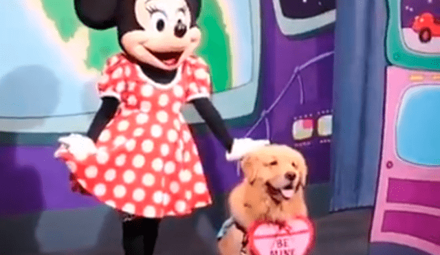 Facebook: Perro tiene emotiva reacción al conocer a Minnie Mouse