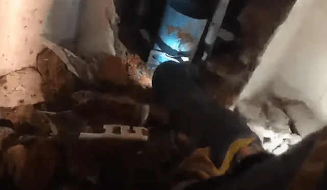 A través de YouTube se ha vuelto viral el momento en que uno rescatistas sacan a un gato de una tubería.