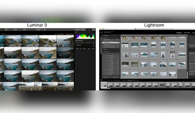 Luminar es una gran alternativa a Lightroom. Imagen: NatureTTL.